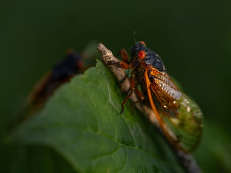 Blog Images_1200x600-2-2