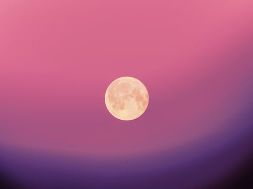 Blog Images_1200x600-7-2