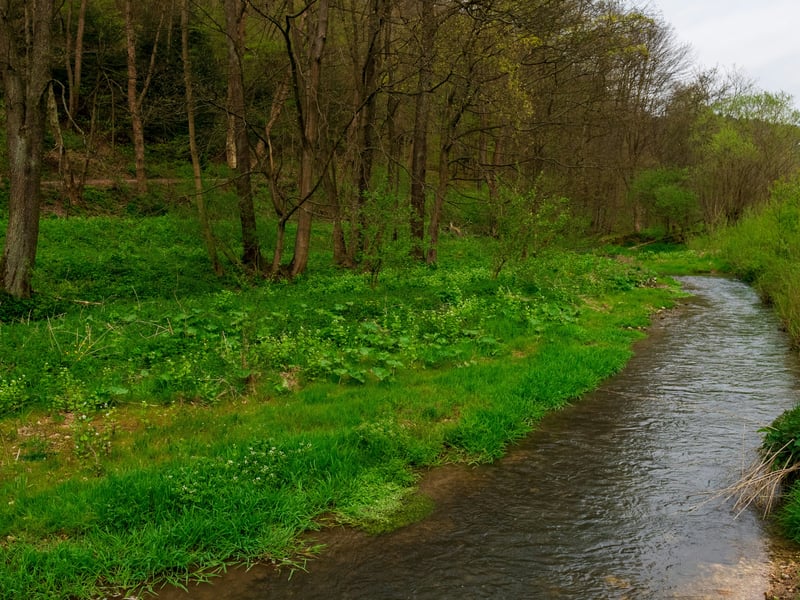 Fish Creek_Write the World Screenwriting Competition