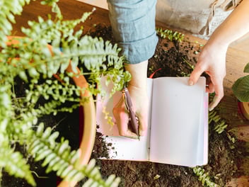How to Pick an Environmental Topic to Write About
