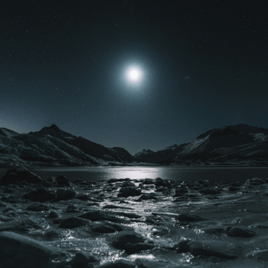 Untitled design-7