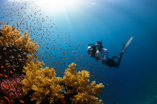 Teaching Environmental Writing