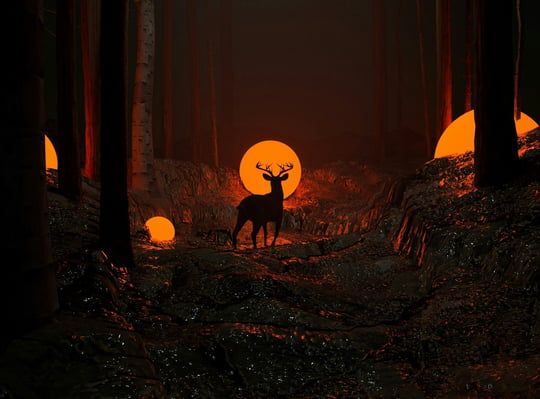 deer-standing-in-forest-at-night