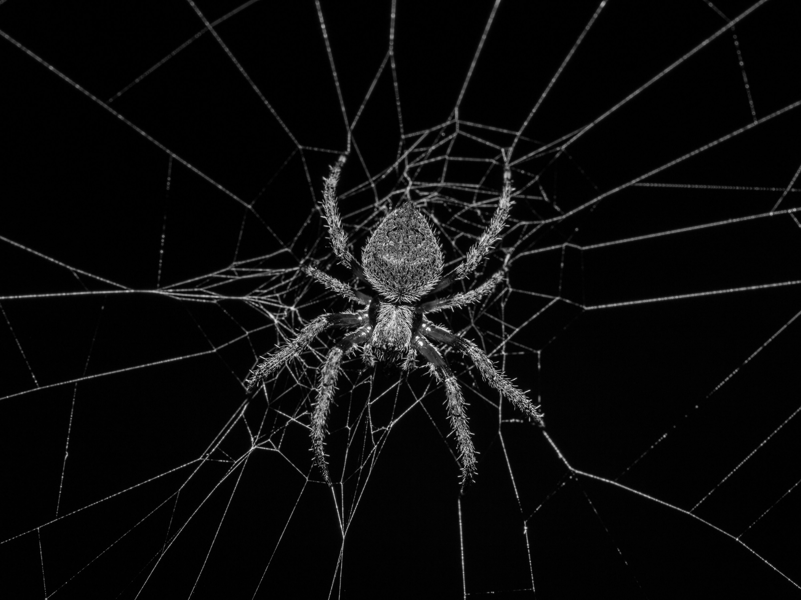 Short Story Competition Teen Winners