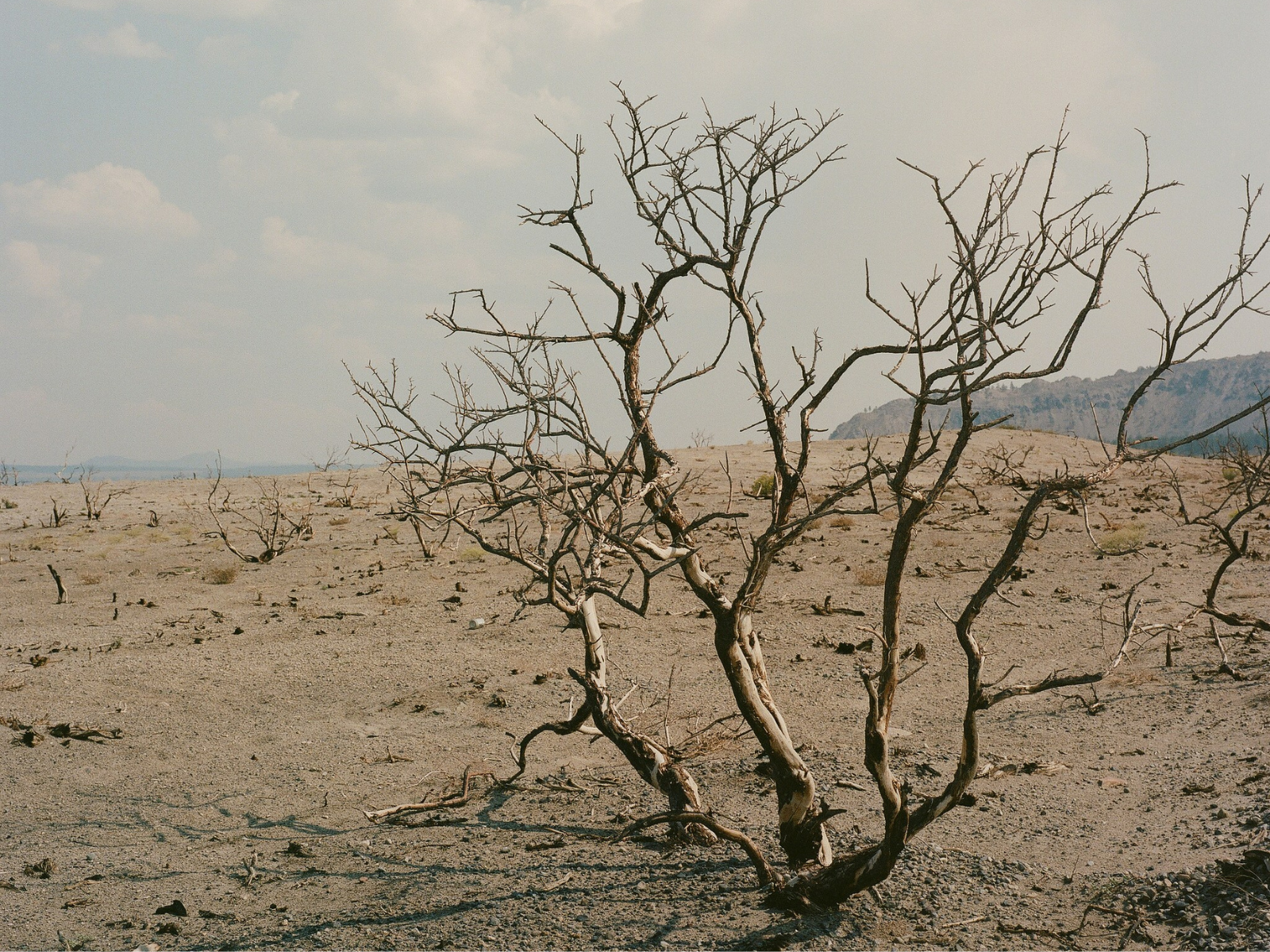 Op-Ed Writing Competition Teen Winners