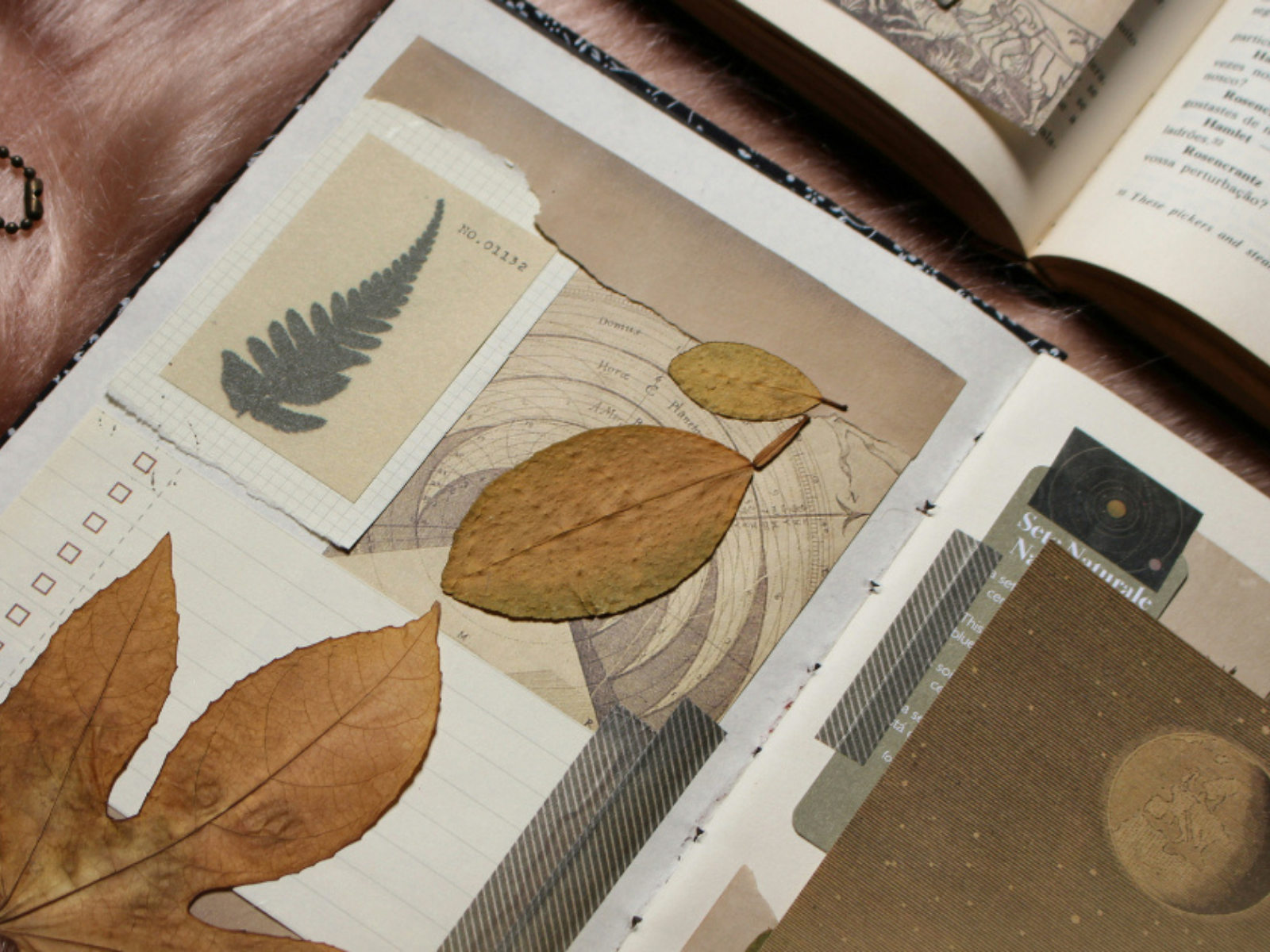 Environmental Websites: Environmental and Nature Writing Publications to Inform and Inspire