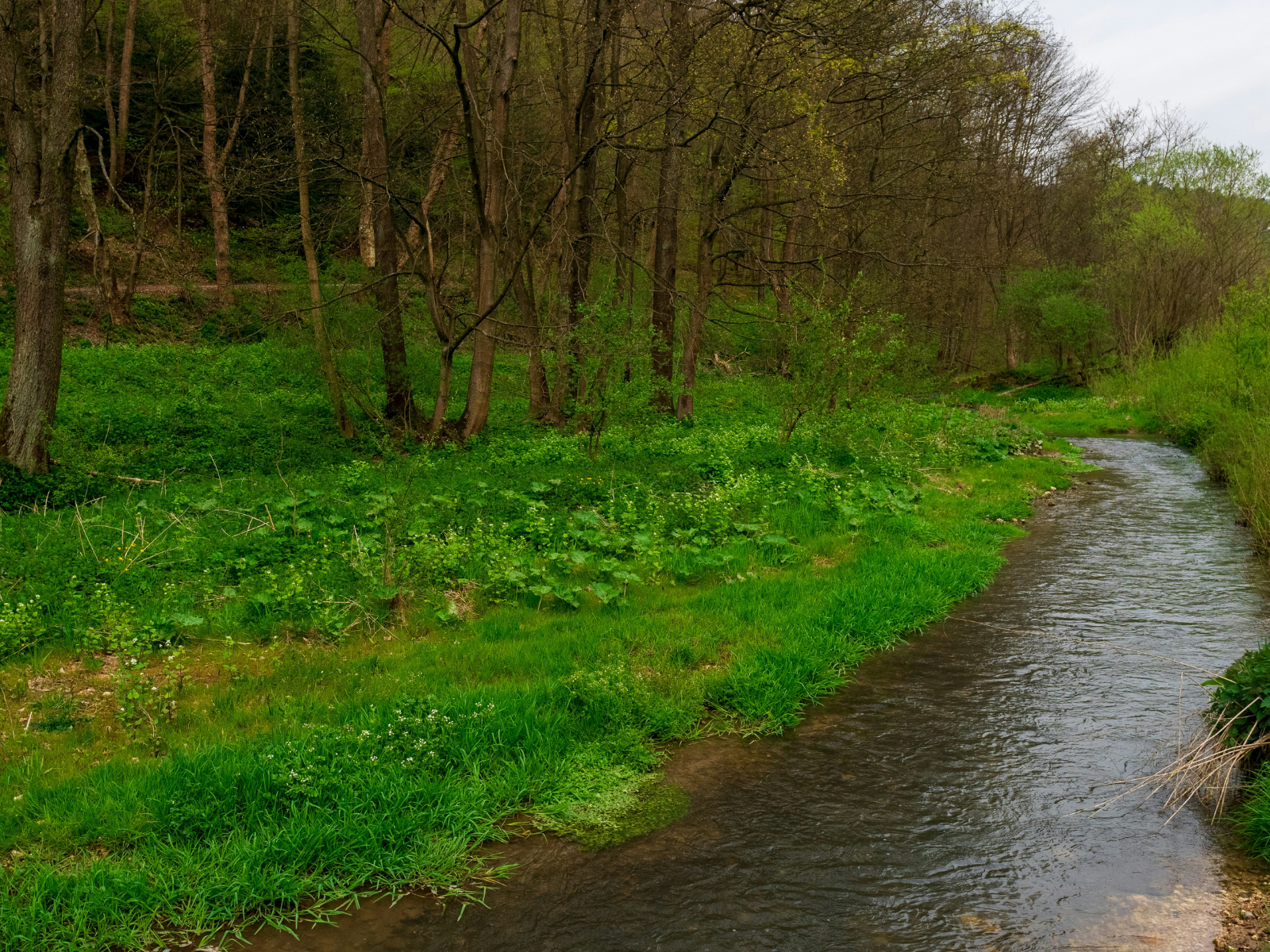 Writing Advice from Our Teen Screenwriting Competition Winners