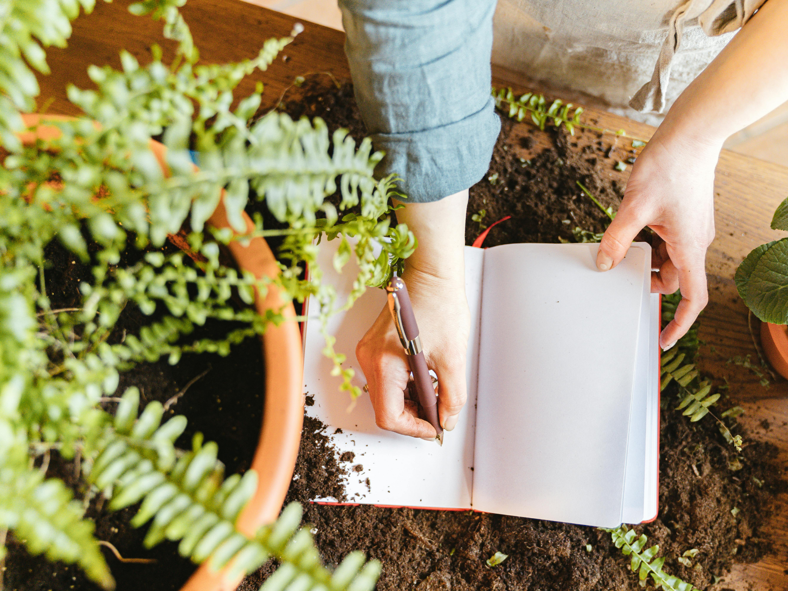 How to Pick an Environmental Topic to Write About