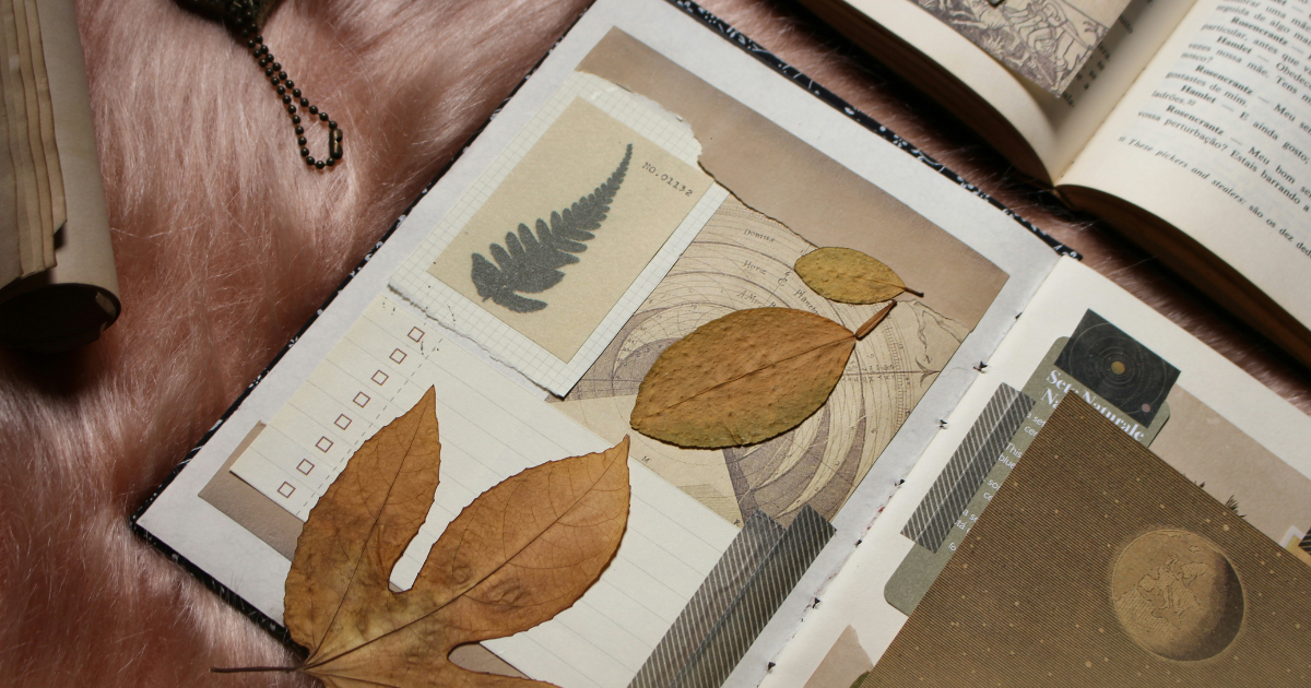 Environmental Websites: Environmental and Nature Writing Publications to Inform and Inspire