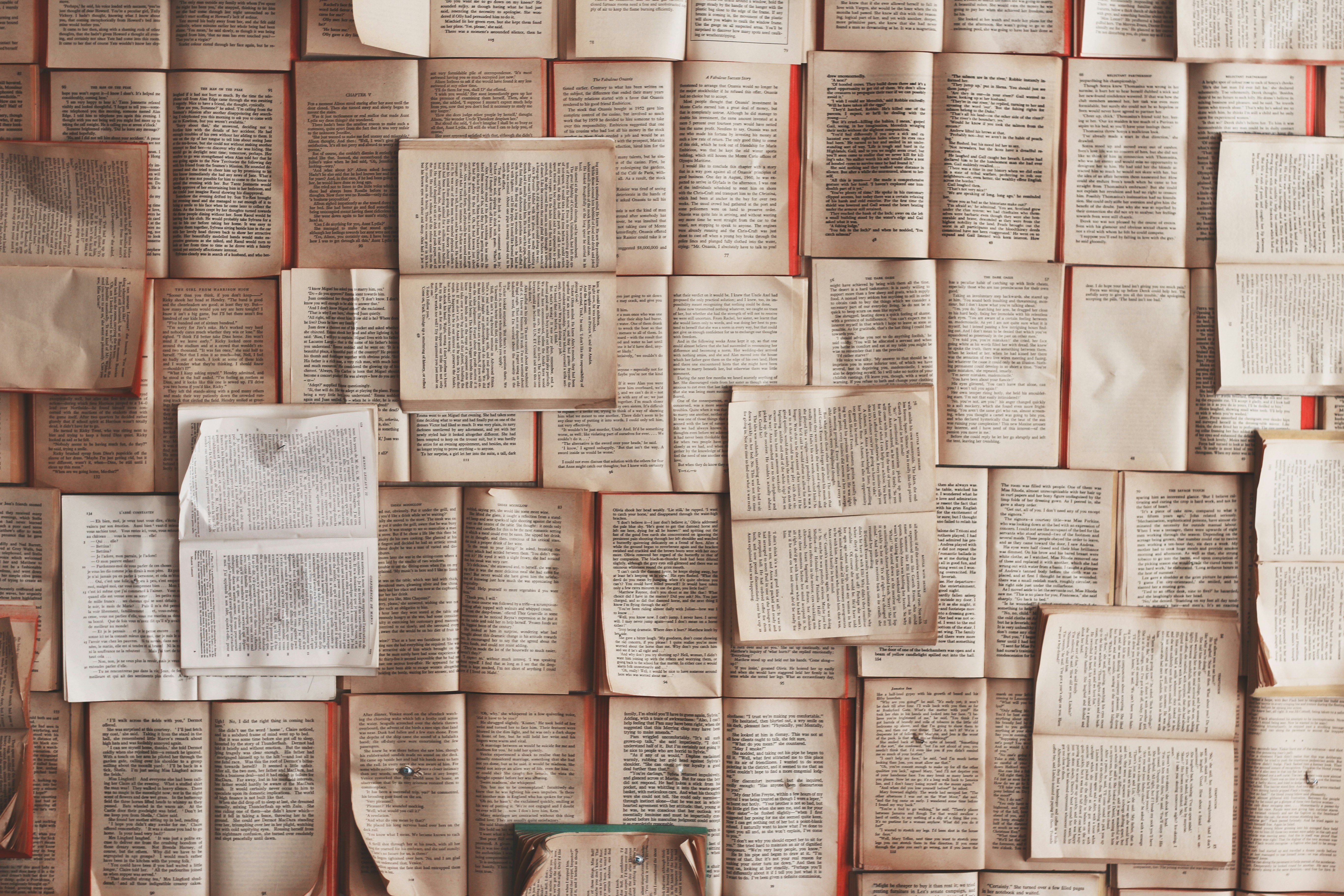 15+ Essays for High School Students to Read